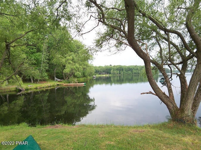 LOT99 Fawn Lake Dr, Hawley, PA 18428