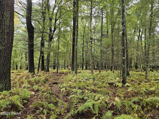 LOT99 Fawn Lake Dr, Hawley, PA 18428