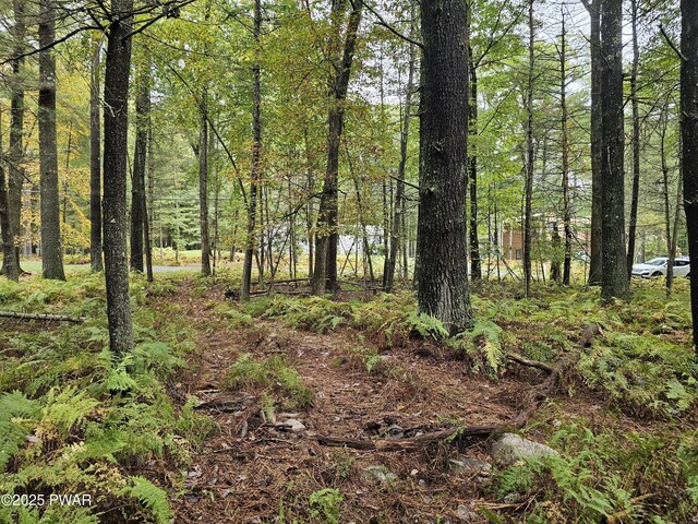 LOT99 Fawn Lake Dr, Hawley, PA 18428
