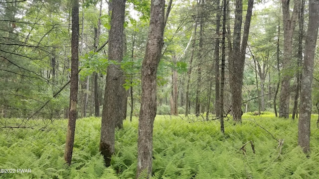 LOT99 Fawn Lake Dr, Hawley, PA 18428
