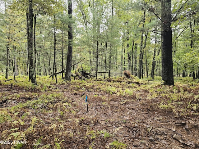LOT99 Fawn Lake Dr, Hawley, PA 18428