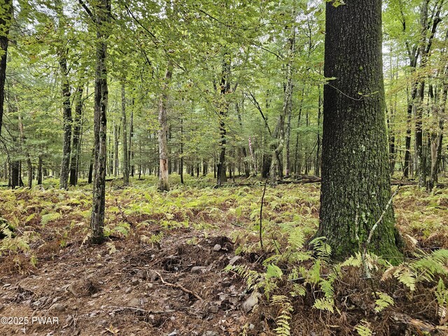 LOT99 Fawn Lake Dr, Hawley, PA 18428