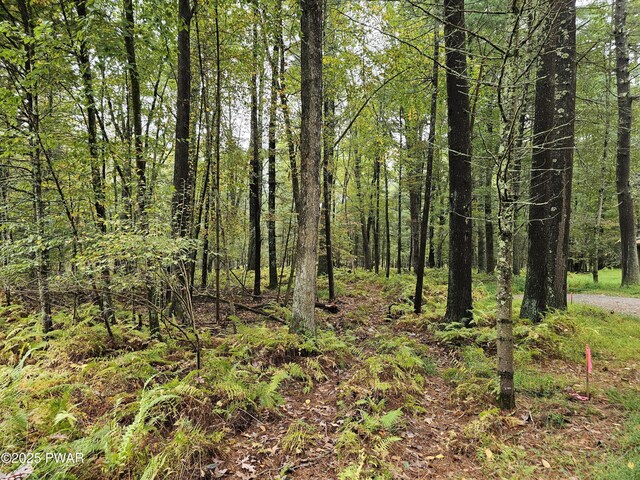 LOT99 Fawn Lake Dr, Hawley, PA 18428