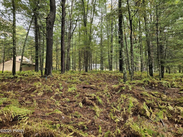 LOT99 Fawn Lake Dr, Hawley, PA 18428