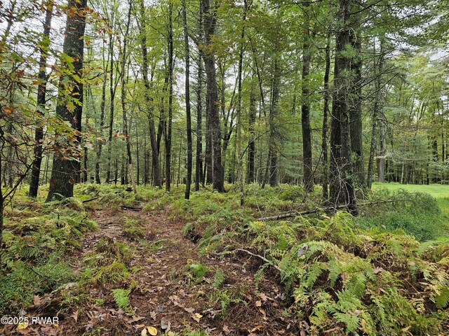 LOT99 Fawn Lake Dr, Hawley, PA 18428