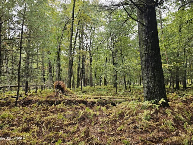 LOT99 Fawn Lake Dr, Hawley, PA 18428