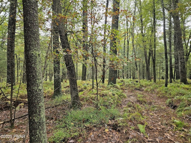 LOT99 Fawn Lake Dr, Hawley, PA 18428