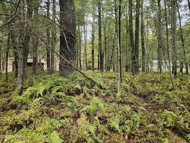 LOT99 Fawn Lake Dr, Hawley, PA 18428