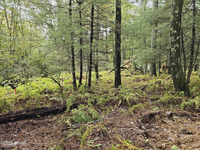 LOT99 Fawn Lake Dr, Hawley, PA 18428