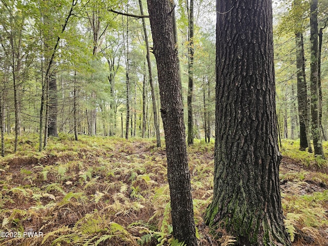 LOT99 Fawn Lake Dr, Hawley, PA 18428