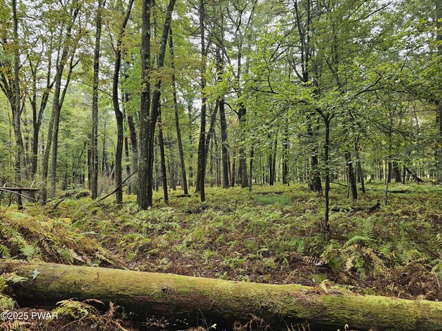LOT99 Fawn Lake Dr, Hawley, PA 18428