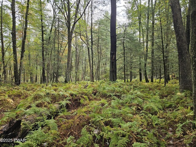 LOT99 Fawn Lake Dr, Hawley, PA 18428