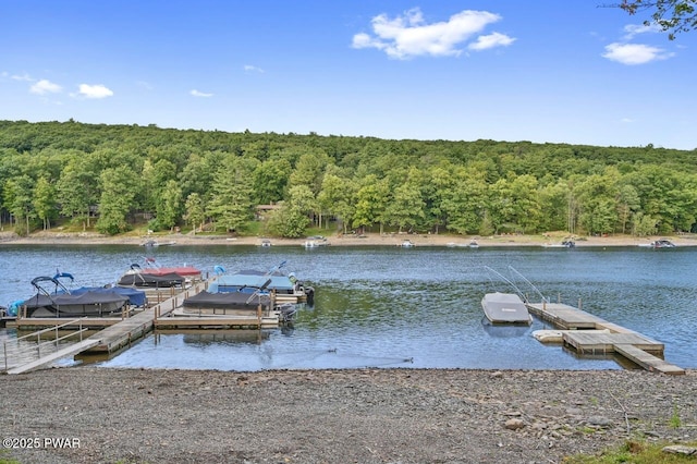 305 Laurel Ln, Greentown, PA 18426 - dock area featuring a wooded view and a water view
