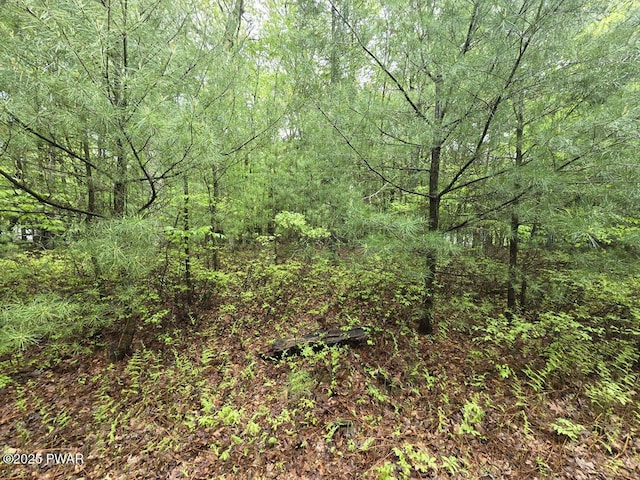 LOT1725 Tan Oak Dr, Milford, PA 18337 - photo 7