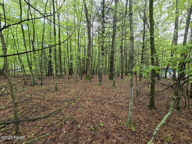 LOT1725 Tan Oak Dr, Milford, PA 18337 - photo 2