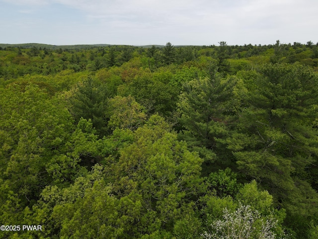 LOT1725 Tan Oak Dr, Milford, PA 18337 - photo 10