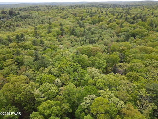 LOT1725 Tan Oak Dr, Milford, PA 18337 - photo 4