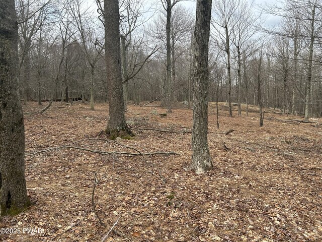 LOT44 Chestnut Dr, Newfoundland, PA 18445 - photo 5