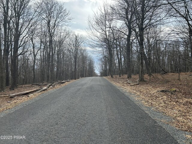 LOT44 Chestnut Dr, Newfoundland, PA 18445 - photo 7