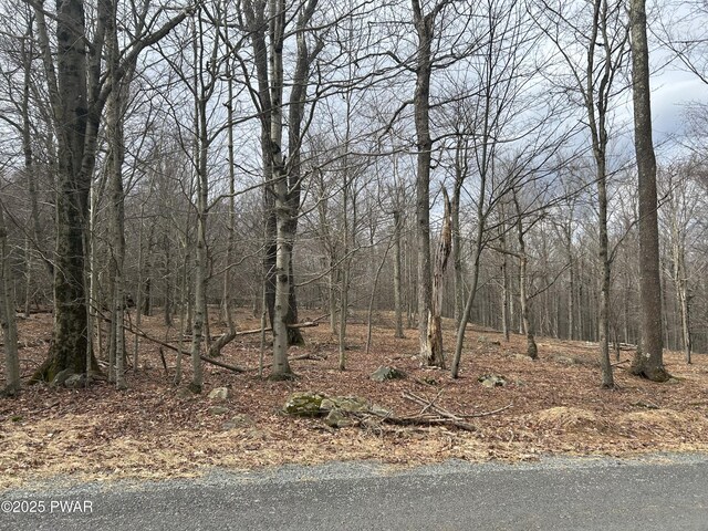 LOT44 Chestnut Dr, Newfoundland, PA 18445 - photo 4
