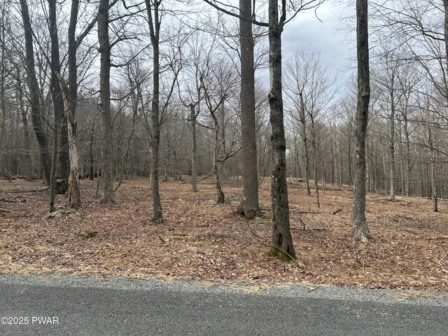LOT44 Chestnut Dr, Newfoundland, PA 18445 - photo 3
