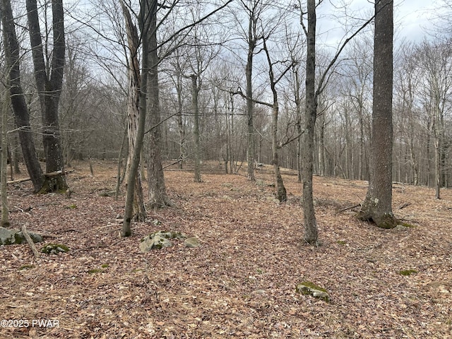 LOT44 Chestnut Dr, Newfoundland, PA 18445 - photo 6
