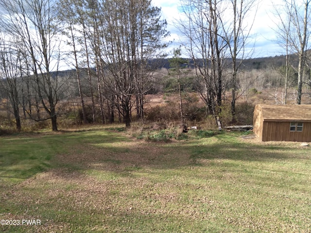 view of yard with a storage shed