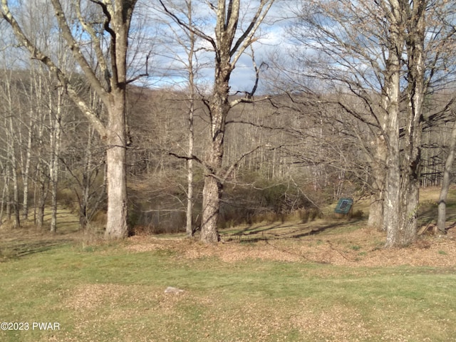 view of local wilderness