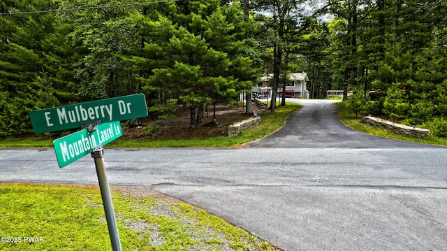 127 E Mulberry Dr, Milford, PA 18337 - view of asphalt driveway