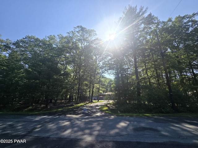 127 E Mulberry Dr, Milford, PA 18337 - view of asphalt driveway