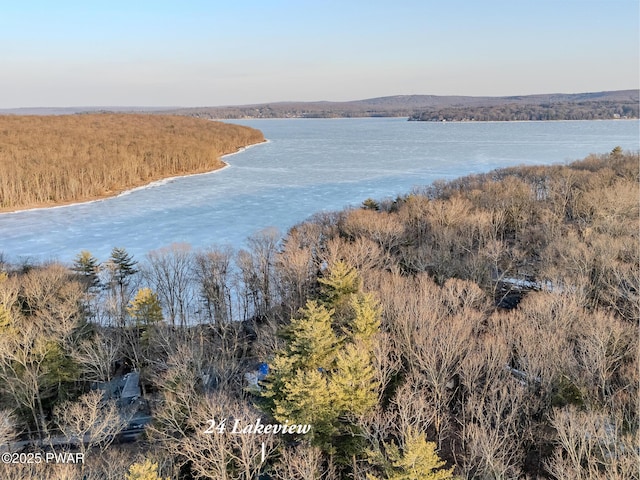 24 Lakeside Dr, Lakeville, PA 18438 - property view of water