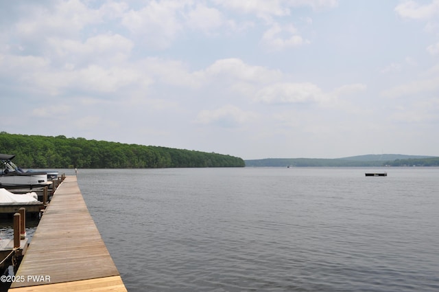 24 Lakeside Dr, Lakeville, PA 18438 - photo 2