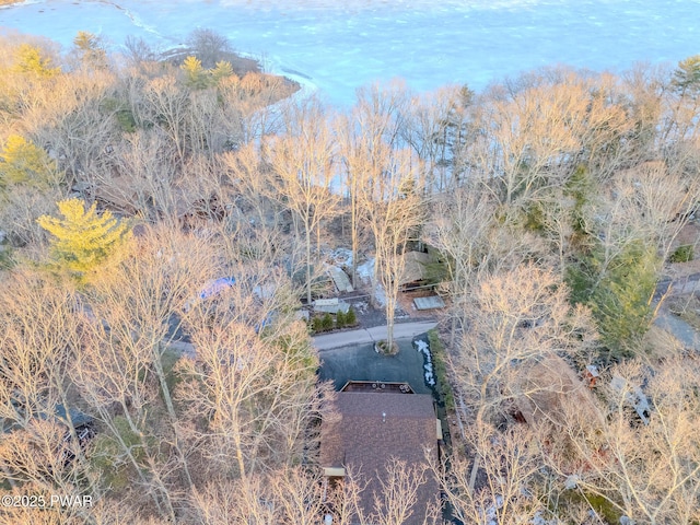 24 Lakeside Dr, Lakeville, PA 18438 - birds eye view of property