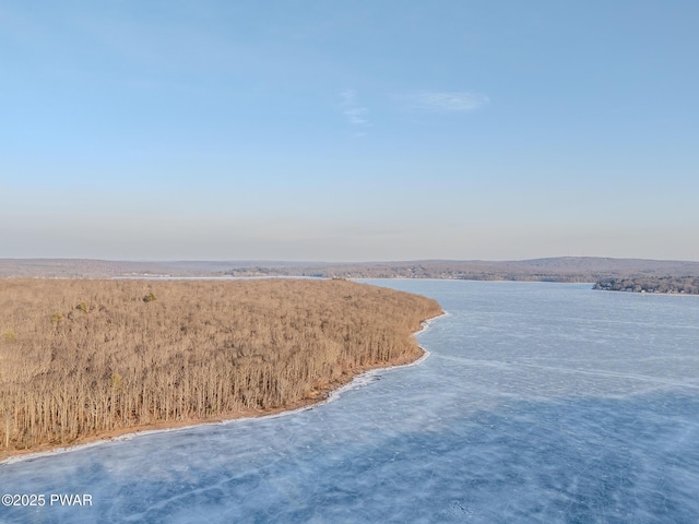 24 Lakeside Dr, Lakeville, PA 18438 - property view of water