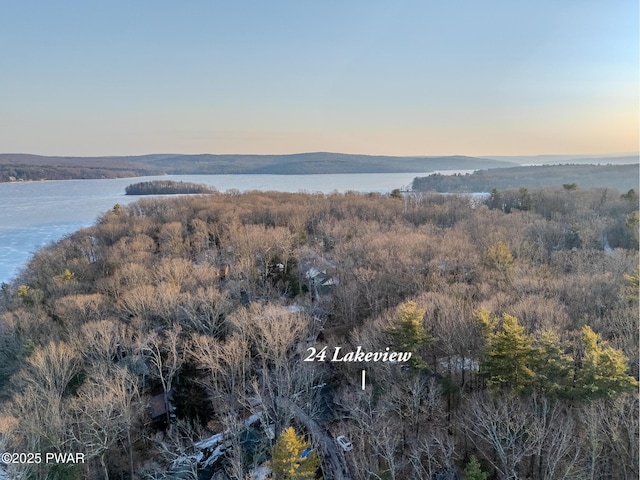 24 Lakeside Dr, Lakeville, PA 18438 - aerial view at dusk featuring a water view
