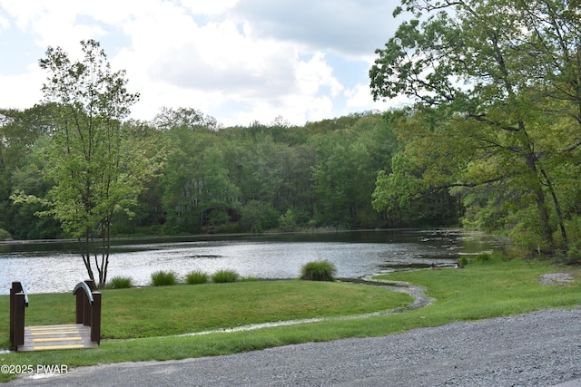 121 Mountain View Dr, Lords Valley, PA 18428 - water view with a heavily wooded area