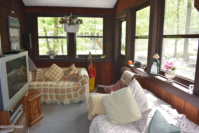 121 Mountain View Dr, Lords Valley, PA 18428 - sunroom / solarium featuring healthy amount of natural light, carpet flooring, and wooden walls