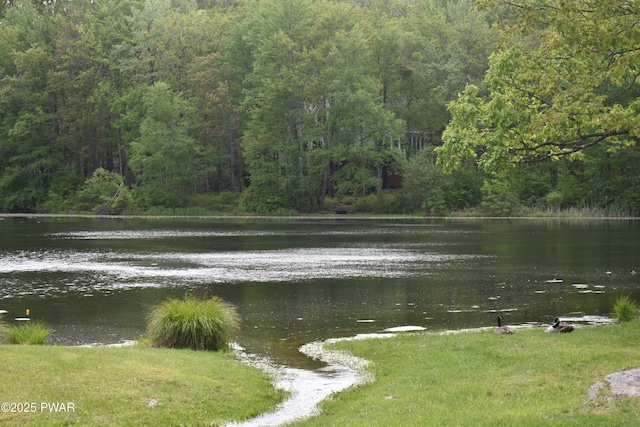 121 Mountain View Dr, Lords Valley, PA 18428 - water view with a forest