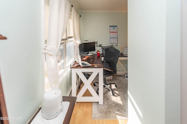 office featuring crown molding and wood-type flooring