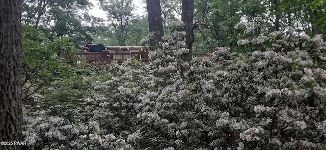 view of yard with a wooden deck