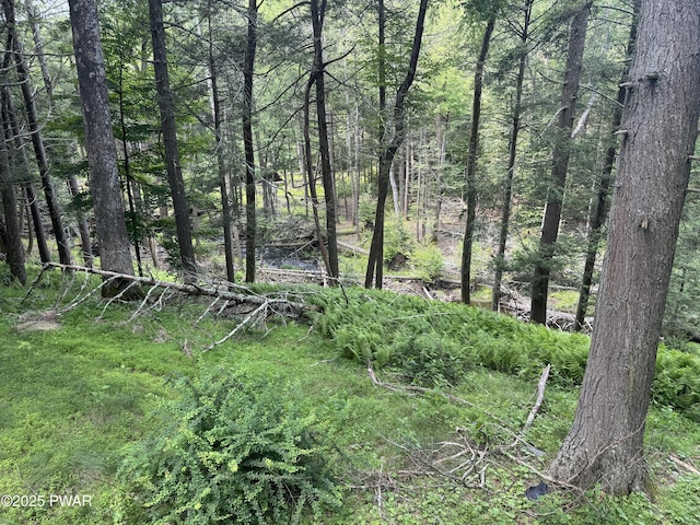 219 Woodpecker Ct, Bushkill, PA 18324 - view of woods