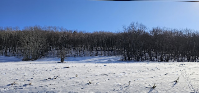 LOT7.4 Hankins Rd, Fremont Center, Ny, NY 12736