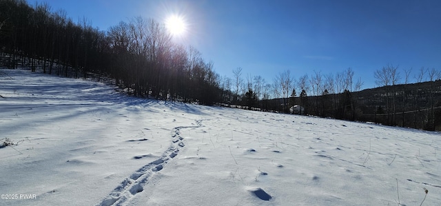 LOT7.4 Hankins Rd, Fremont Center, Ny, NY 12736
