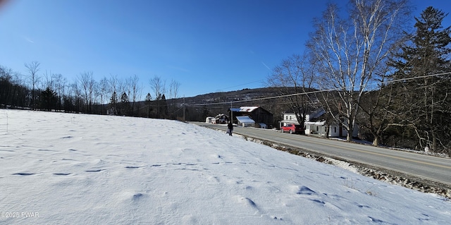 LOT7.4 Hankins Rd, Fremont Center, Ny, NY 12736