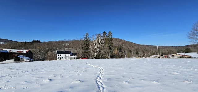 LOT7.4 Hankins Rd, Fremont Center, Ny, NY 12736