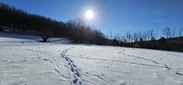 LOT7.4 Hankins Rd, Fremont Center, Ny, NY 12736