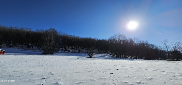 LOT7.4 Hankins Rd, Fremont Center, Ny, NY 12736