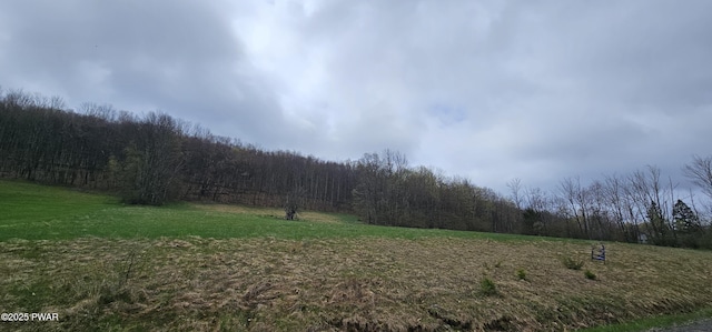 LOT7.4 Hankins Rd, Fremont Center, Ny, NY 12736