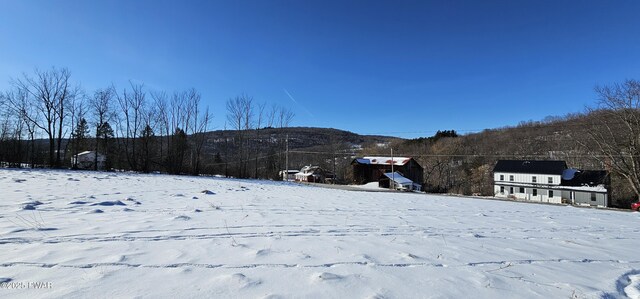 LOT7.4 Hankins Rd, Fremont Center, Ny, NY 12736