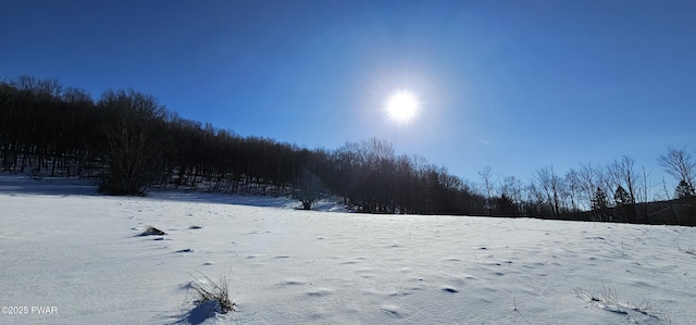 LOT7.4 Hankins Rd, Fremont Center, Ny, NY 12736